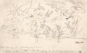 Studies of Plants, August 2, 1815